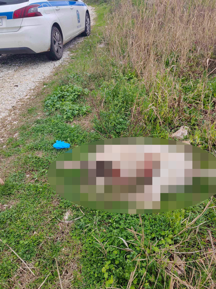 Πάργα: Πυροβόλησε και σκότωσε σκύλο μέσα στον κόσμο σε περιοχή που έπαιζαν παιδιά