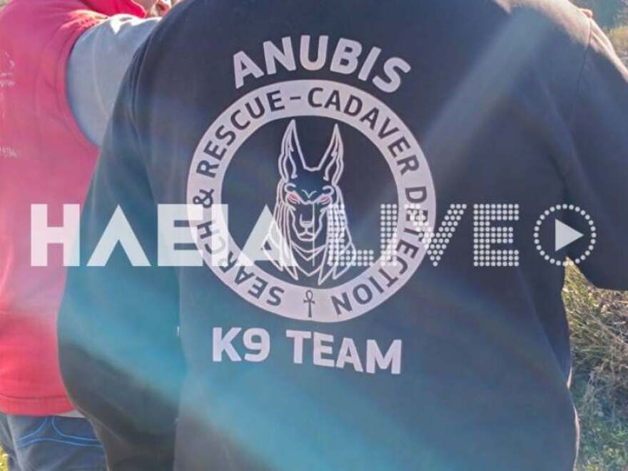 Ηλεία: Τρεις ειδικά εκπαιδευμένοι σκύλοι στην αναζήτηση του 45χρονου που παρασύρθηκε από χείμαρρο