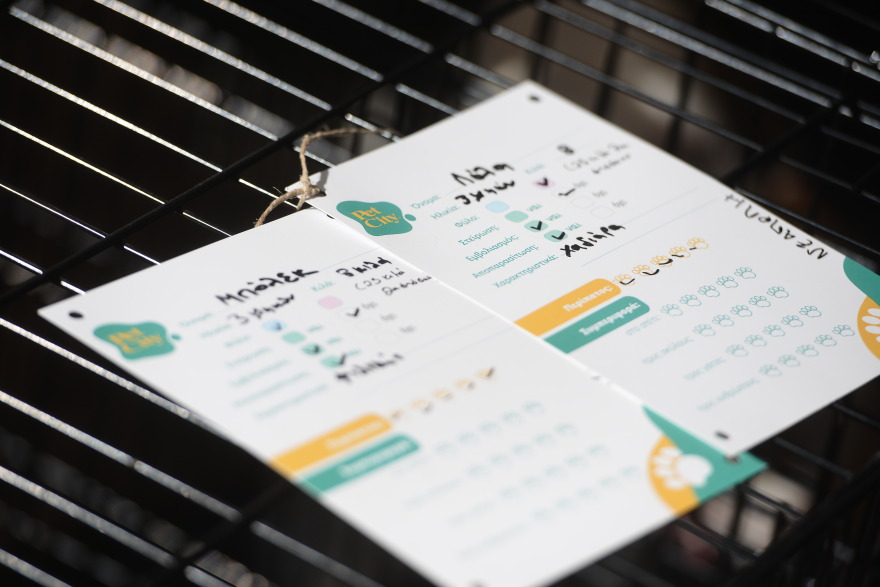 Η πρώτη ημερα υιοθεσίας για το 2024 από το Pet City και το Topetmou.gr - Δεκάδες σκυλάκια βρήκαν το παντοτινό τους σπίτι