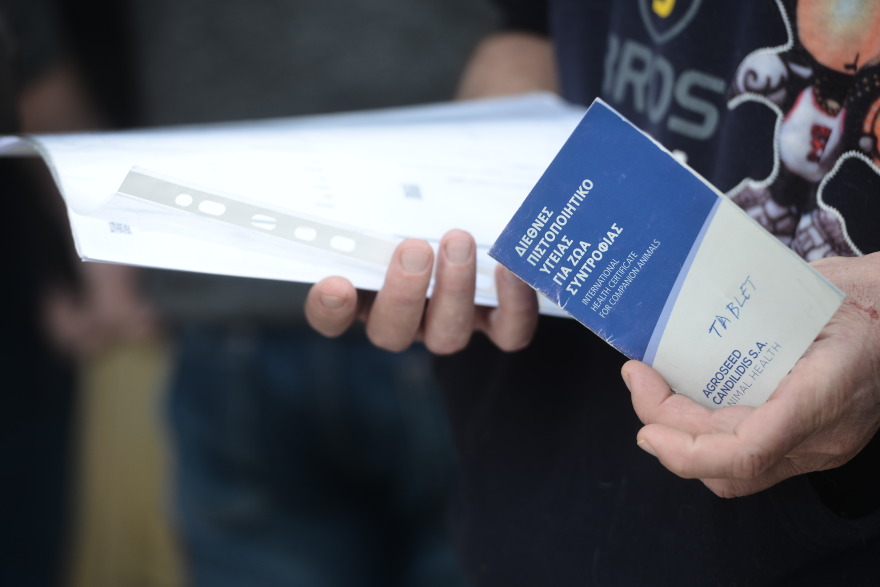 Η πρώτη ημερα υιοθεσίας για το 2024 από το Pet City και το Topetmou.gr - Δεκάδες σκυλάκια βρήκαν το παντοτινό τους σπίτι