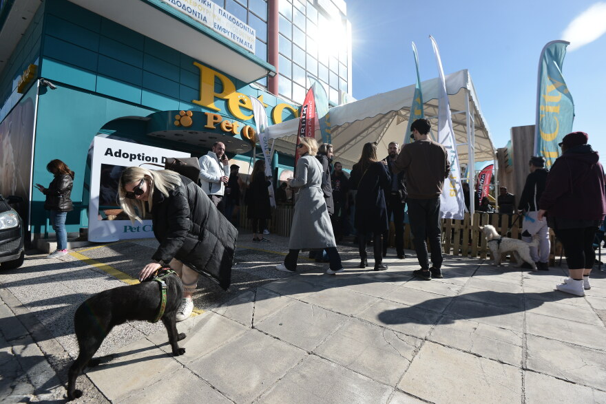 Η πρώτη ημερα υιοθεσίας για το 2024 από το Pet City και το Topetmou.gr - Δεκάδες σκυλάκια βρήκαν το παντοτινό τους σπίτι