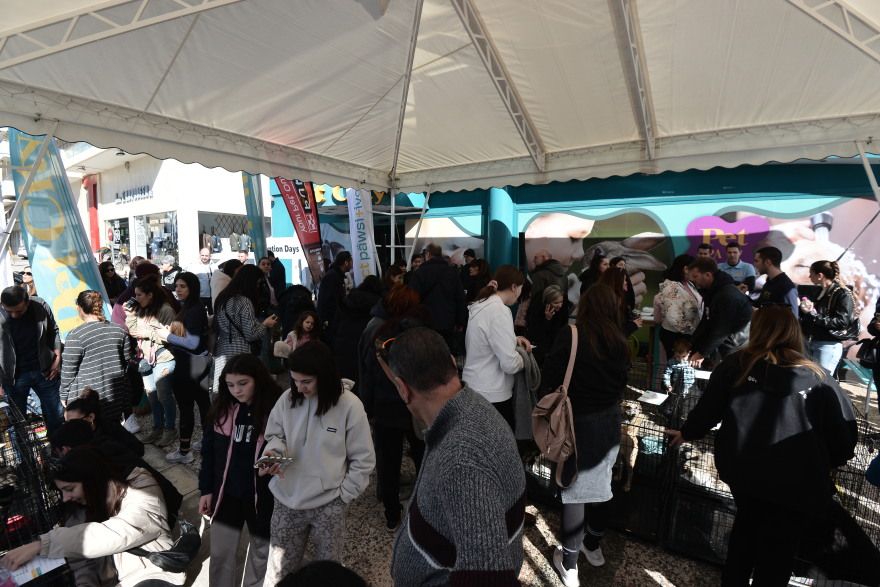 Η πρώτη ημερα υιοθεσίας για το 2024 από το Pet City και το Topetmou.gr - Δεκάδες σκυλάκια βρήκαν το παντοτινό τους σπίτι