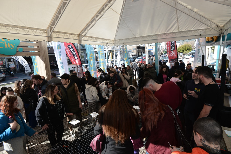 Η πρώτη ημερα υιοθεσίας για το 2024 από το Pet City και το Topetmou.gr - Δεκάδες σκυλάκια βρήκαν το παντοτινό τους σπίτι