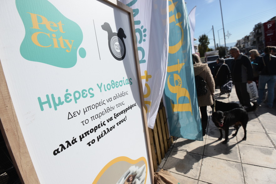 Η πρώτη ημερα υιοθεσίας για το 2024 από το Pet City και το Topetmou.gr - Δεκάδες σκυλάκια βρήκαν το παντοτινό τους σπίτι