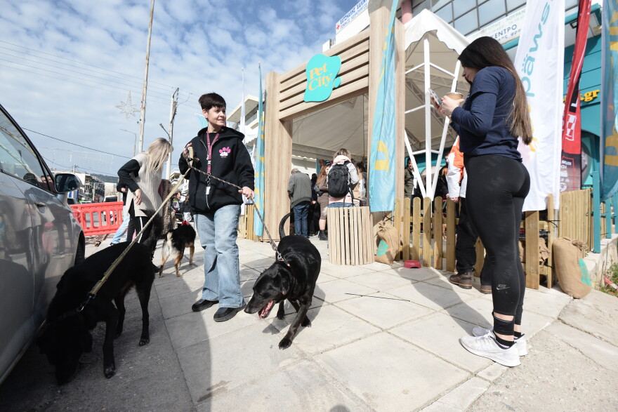 Η πρώτη ημερα υιοθεσίας για το 2024 από το Pet City και το Topetmou.gr - Δεκάδες σκυλάκια βρήκαν το παντοτινό τους σπίτι