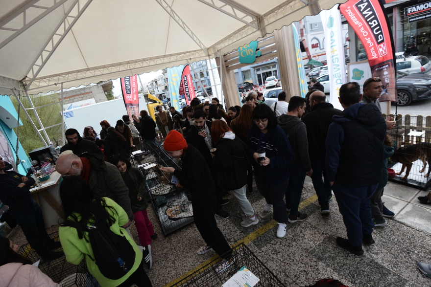 Η πρώτη ημερα υιοθεσίας για το 2024 από το Pet City και το Topetmou.gr - Δεκάδες σκυλάκια βρήκαν το παντοτινό τους σπίτι