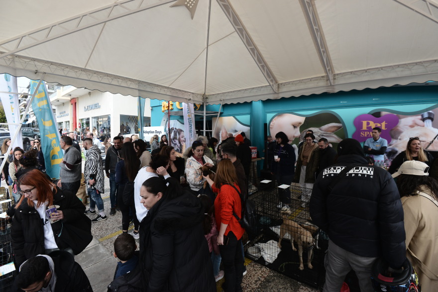 Η πρώτη ημερα υιοθεσίας για το 2024 από το Pet City και το Topetmou.gr - Δεκάδες σκυλάκια βρήκαν το παντοτινό τους σπίτι