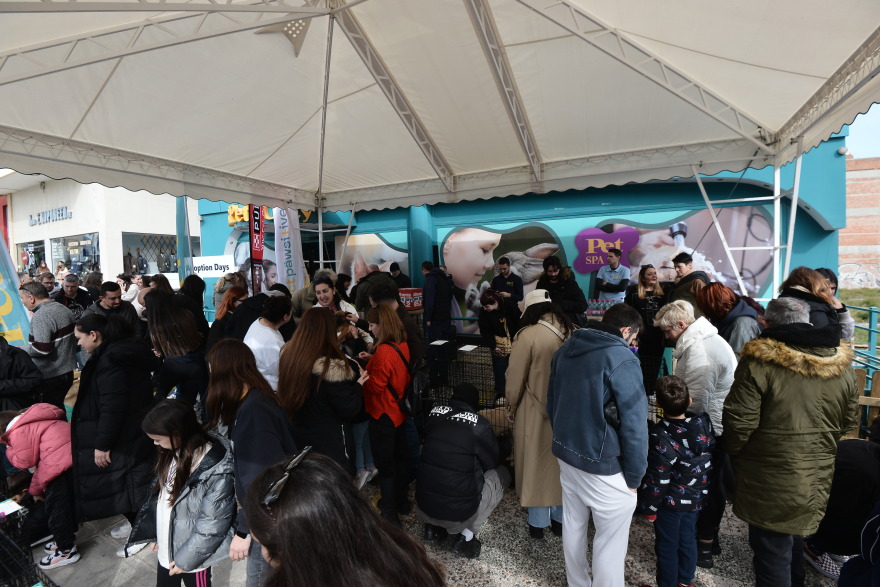 Η πρώτη ημερα υιοθεσίας για το 2024 από το Pet City και το Topetmou.gr - Δεκάδες σκυλάκια βρήκαν το παντοτινό τους σπίτι