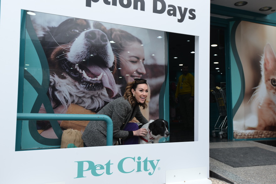 Η πρώτη ημερα υιοθεσίας για το 2024 από το Pet City και το Topetmou.gr - Δεκάδες σκυλάκια βρήκαν το παντοτινό τους σπίτι