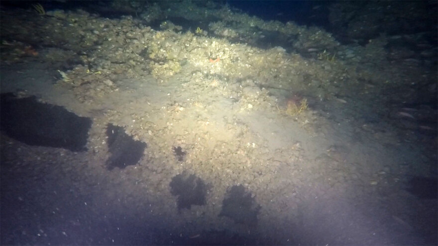 Γαλλικό υποβρύχιο από τον Α' Παγκόσμιο Πόλεμο βρέθηκε «ατόφιο» στον Θερμαϊκό - Δείτε φωτογραφίες