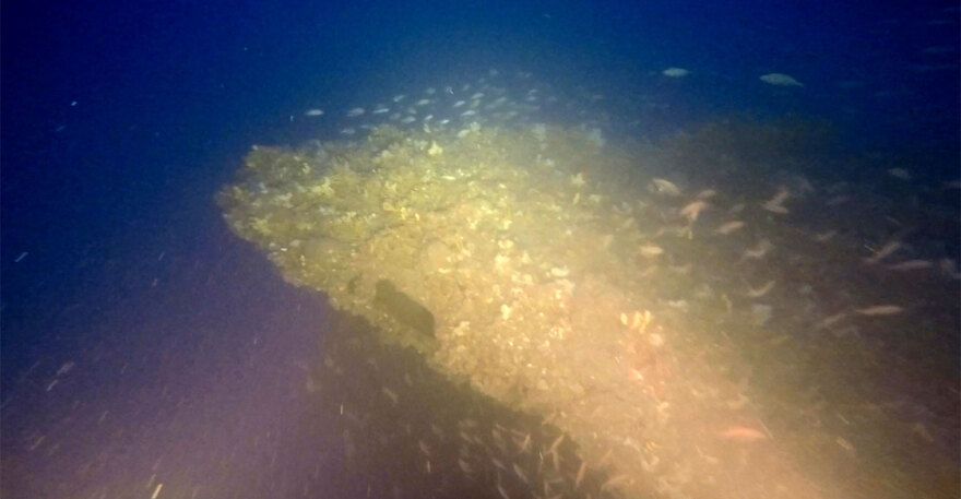 Γαλλικό υποβρύχιο από τον Α' Παγκόσμιο Πόλεμο βρέθηκε «ατόφιο» στον Θερμαϊκό - Δείτε φωτογραφίες