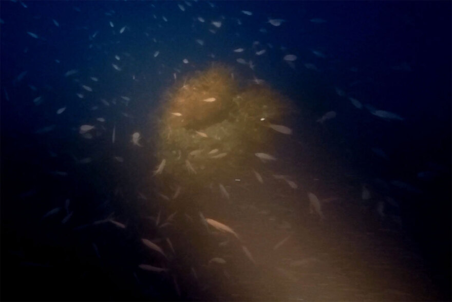 Γαλλικό υποβρύχιο από τον Α' Παγκόσμιο Πόλεμο βρέθηκε «ατόφιο» στον Θερμαϊκό - Δείτε φωτογραφίες