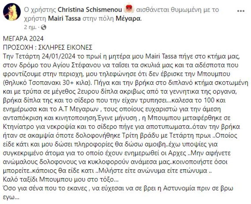 Μέγαρα: Άγριος θάνατος για αδέσποτο σκυλί - Το κακοποίησαν με σιδερένια ράβδο