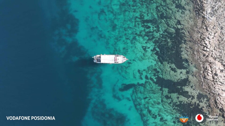 Ίδρυμα Vodafone: χαρτογραφώντας έναν από τους μεγαλύτερους πνεύμονες οξυγόνου της Μεσογείου