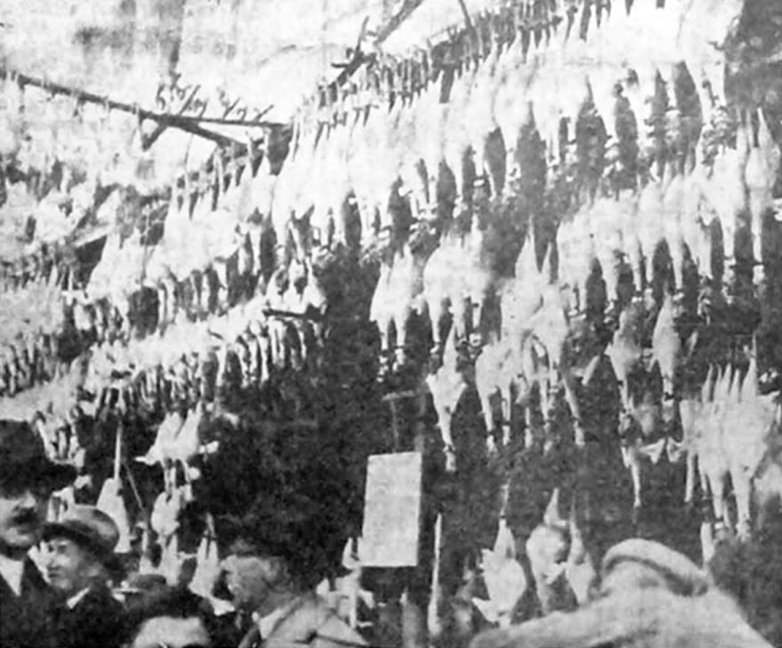 Ιστορίες της παλιάς Αθήνας, 1928: Πώς μας κλέβουν με απλή αριθμητική