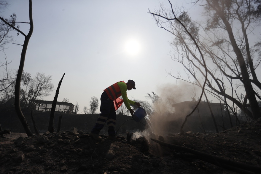 Χιλή: Τουλάχιστον 46 νεκροί σε δασικές πυρκαγιές - «Μέσα σε ένα λεπτό τα χάσαμε όλα»