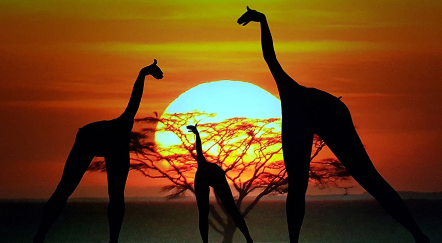 Mobiles: Οι χορευτές - μάγοι που παίζουν με τις σκιές έρχονται στην Αθήνα