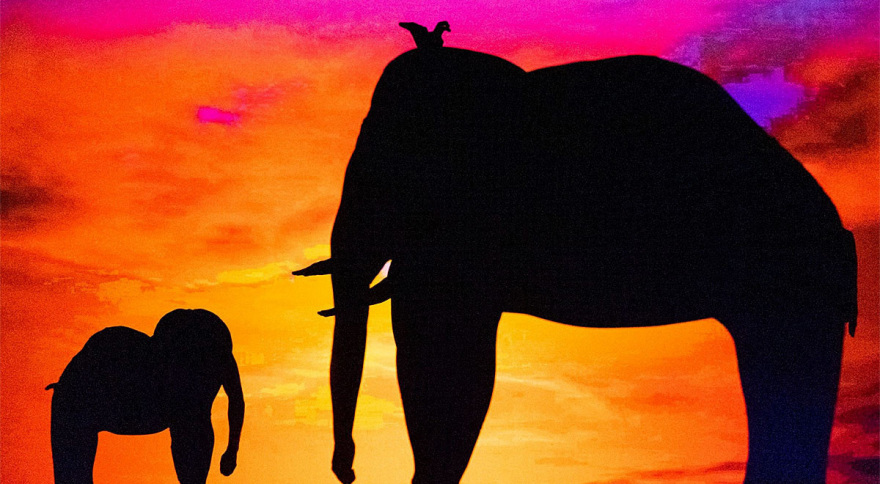 Mobiles: Οι χορευτές - μάγοι που παίζουν με τις σκιές έρχονται στην Αθήνα