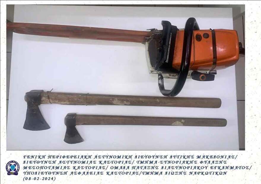 Καστοριά: Πλήρωσε λαθροϋλοτόμους για να κόψουν ξύλα από δάσος