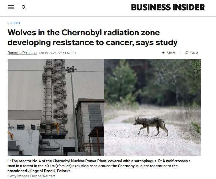 Τσερνόμπιλ: Οι μεταλλαγμένοι λύκοι έχουν αντίσταση στον καρκίνο, σύμφωνα με μελέτη
