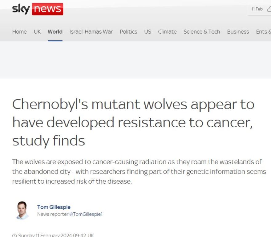 Τσερνόμπιλ: Οι μεταλλαγμένοι λύκοι έχουν αντίσταση στον καρκίνο, σύμφωνα με μελέτη