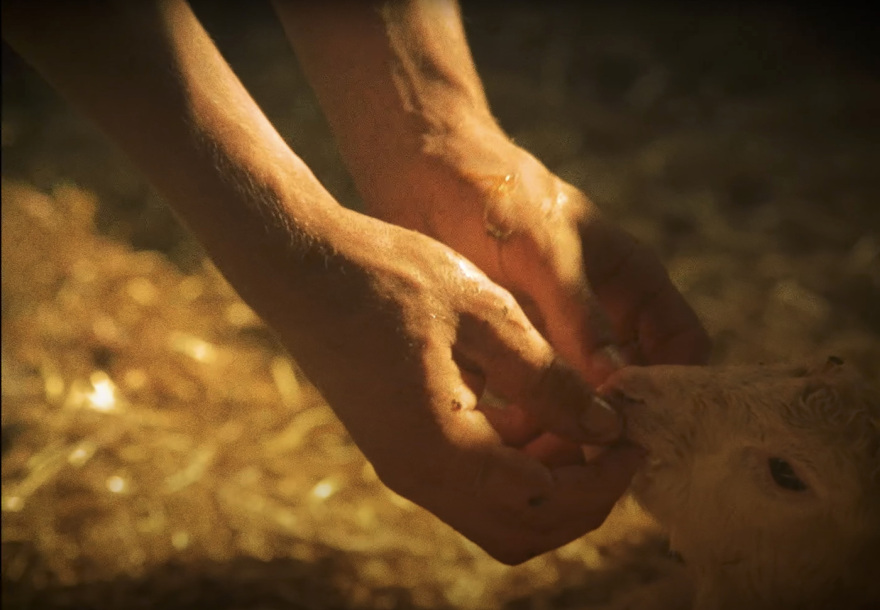 26ο Φεστιβάλ Ντοκιμαντέρ Θεσσαλονίκης: Αυτές είναι οι ταινίες που θα παρουσιαστούν στο πλαίσιό του