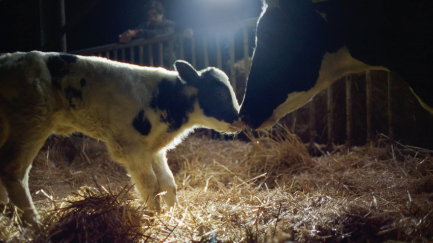 Πώς να επιλέγουμε το ποιοτικό γάλα 