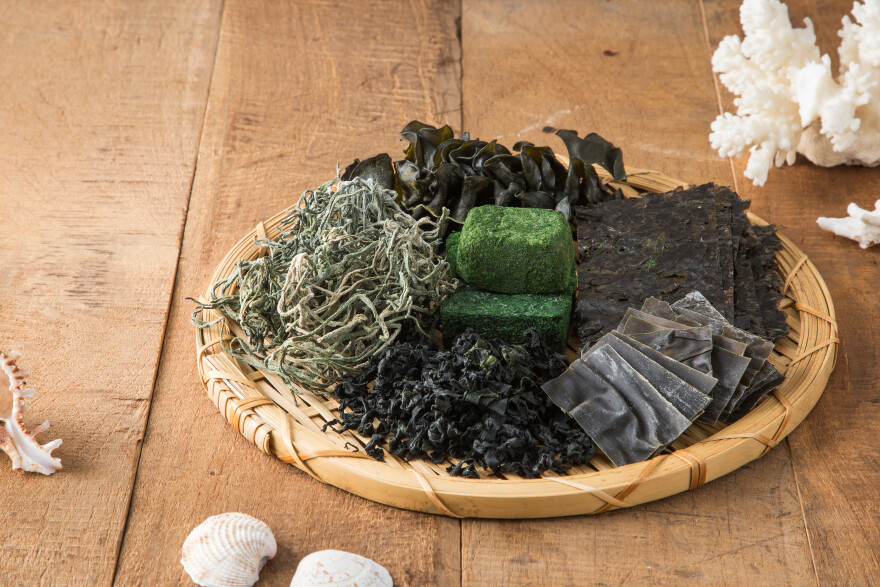 Μπορούν τα φύκια να σώσουν τον πλανήτη μας; Από τους ωκεανούς και το σούσι, στις zero-waste πρακτικές 