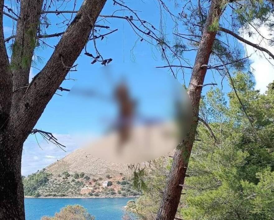 Κτηνωδία στην Κεφαλονιά: Σταύρωσαν και κρέμασαν αλεπού σε δέντρο αφού της έκοψαν την ουρά