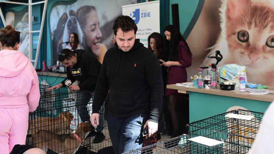 Στα Άνω Πατήσια η 14η Ημέρα Υιοθεσίας των Pet City - Αρωγός στην υπεύθυνη υιοθεσία και topetmou.gr