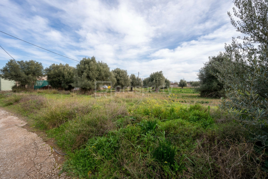 Προνομιακό βιομηχανικό οικόπεδο στη Μεταμόρφωση σε τιμή ευκαιρίας