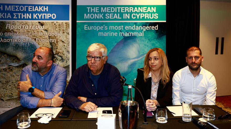 Μεσογειακή φώκια: Κοινές δράσεις σε Ελλάδα και Κύπρο για την προστασία της 