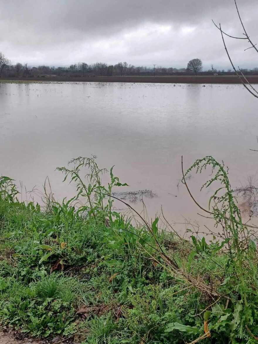 Τρίκαλα: Φούσκωσε επικίνδυνα ο Πηνειός - Καταστροφές από την κακοκαιρία στην Καλαμπάκα (βίντεο και φωτογραφίες)