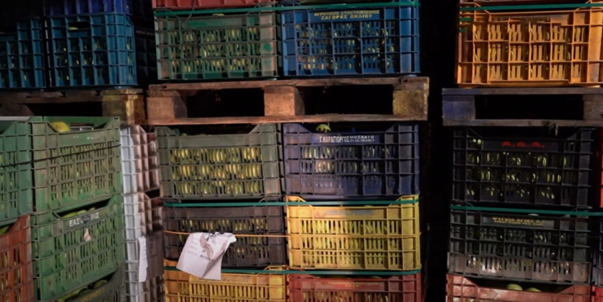 Θεσσαλία: Ο Daniel, οι αγρότες και το green deal - Το παράδειγμα του μήλου της Αγιάς