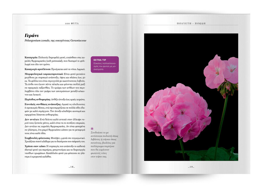 100 φυτά για να δημιουργήσετε τον κήπο των ονείρων σας