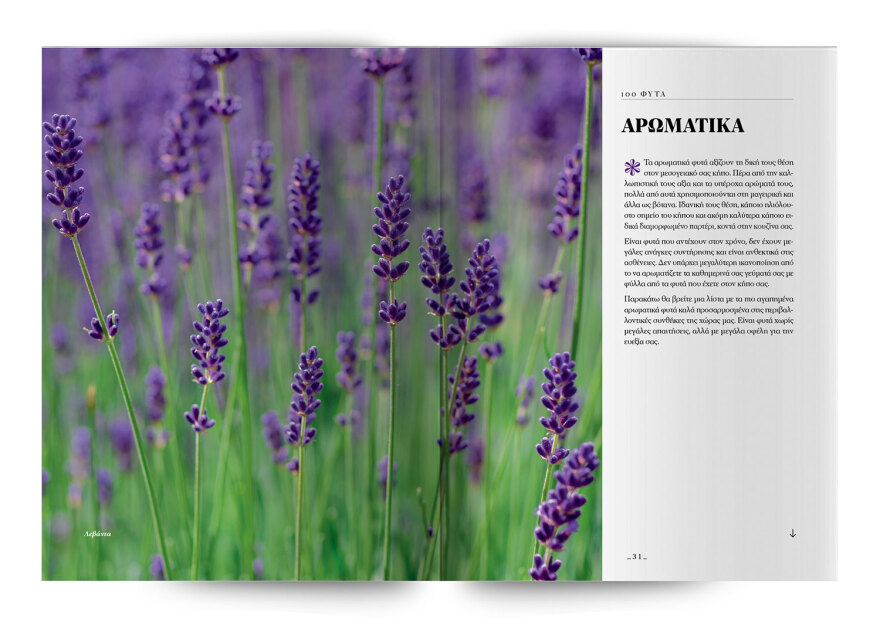 100 φυτά για να δημιουργήσετε τον κήπο των ονείρων σας