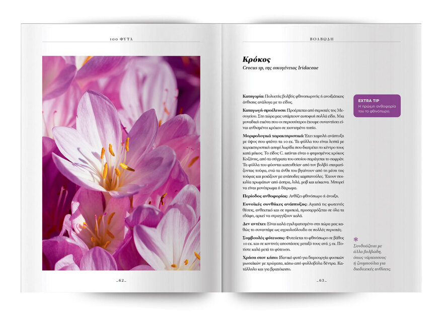 100 φυτά για να δημιουργήσετε τον κήπο των ονείρων σας