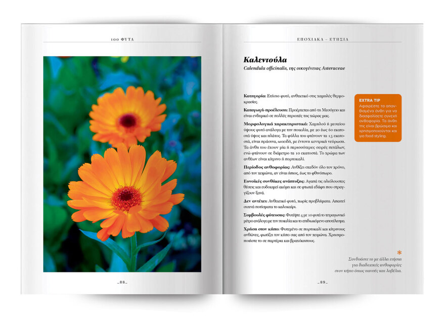 100 φυτά για να δημιουργήσετε τον κήπο των ονείρων σας