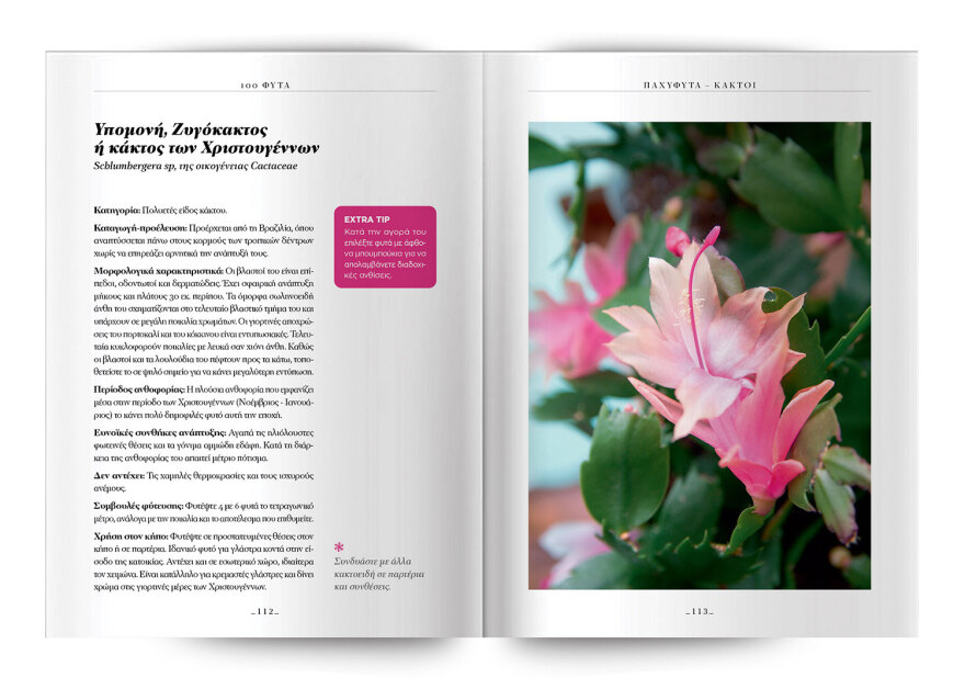 100 φυτά για να δημιουργήσετε τον κήπο των ονείρων σας