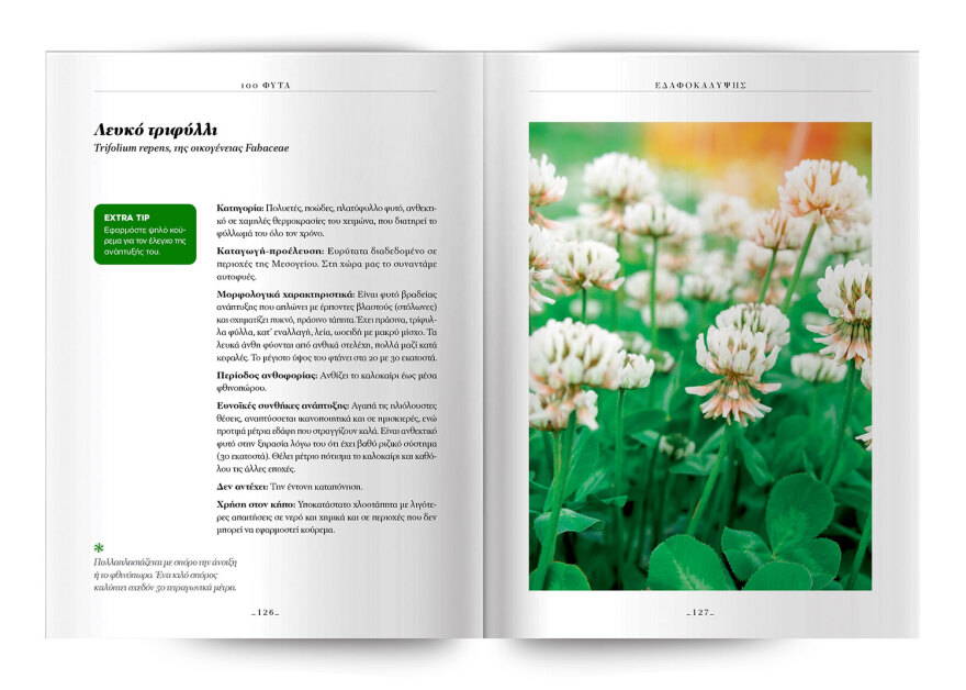 100 φυτά για να δημιουργήσετε τον κήπο των ονείρων σας