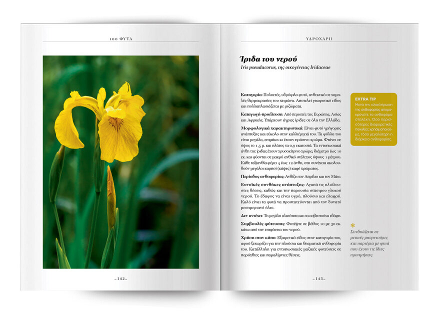 100 φυτά για να δημιουργήσετε τον κήπο των ονείρων σας