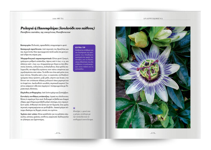 100 φυτά για να δημιουργήσετε τον κήπο των ονείρων σας