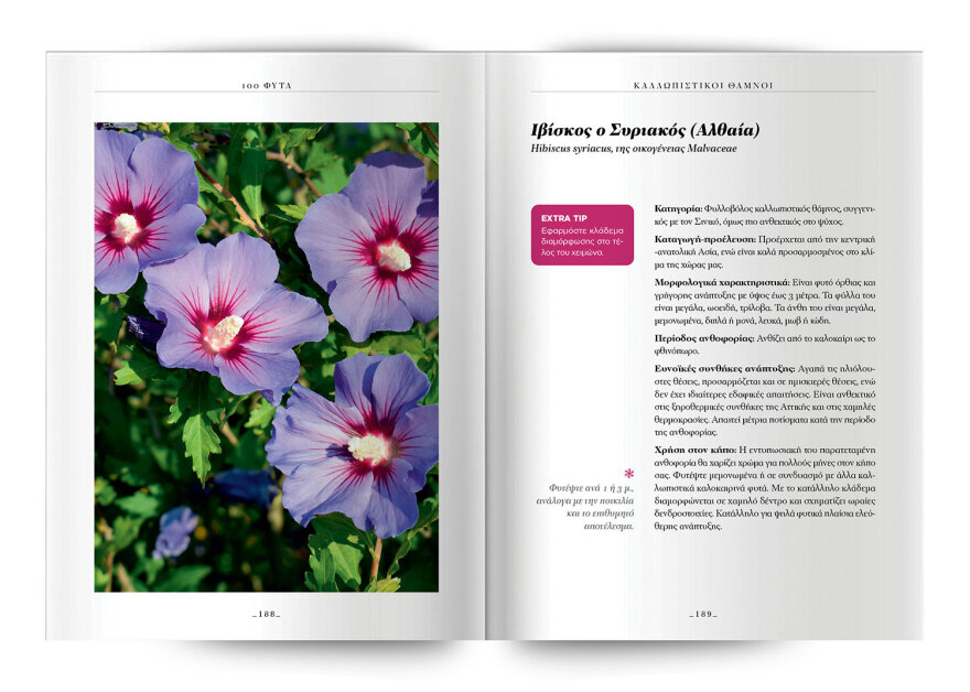 100 φυτά για να δημιουργήσετε τον κήπο των ονείρων σας