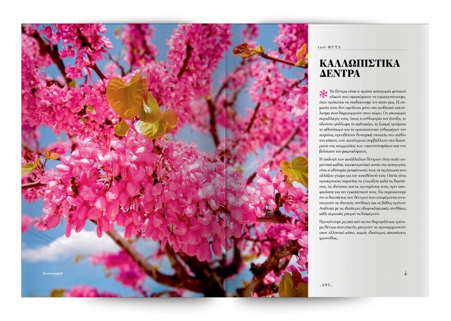 100 φυτά για να δημιουργήσετε τον κήπο των ονείρων σας