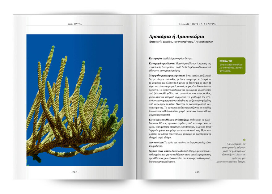 100 φυτά για να δημιουργήσετε τον κήπο των ονείρων σας