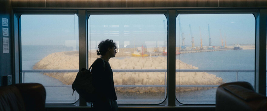 «Αδέσποτα Κορμιά»: Το πολυσυζητημένο ντοκιμαντέρ της Ελίνας Ψύκου που προκαλεί αντιδράσεις