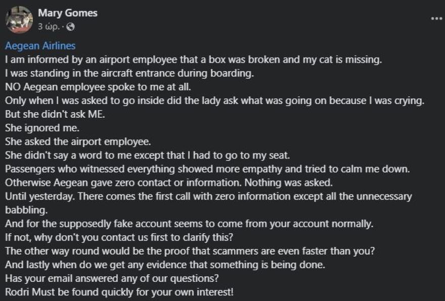 Χανιά: Γατάκι χάθηκε σε πτήση για Μόναχο - Η ανακοίνωση της Aegean για το περιστατικό