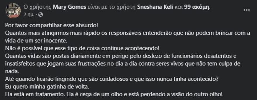 Χανιά: Γατάκι χάθηκε σε πτήση για Μόναχο - Η ανακοίνωση της Aegean για το περιστατικό