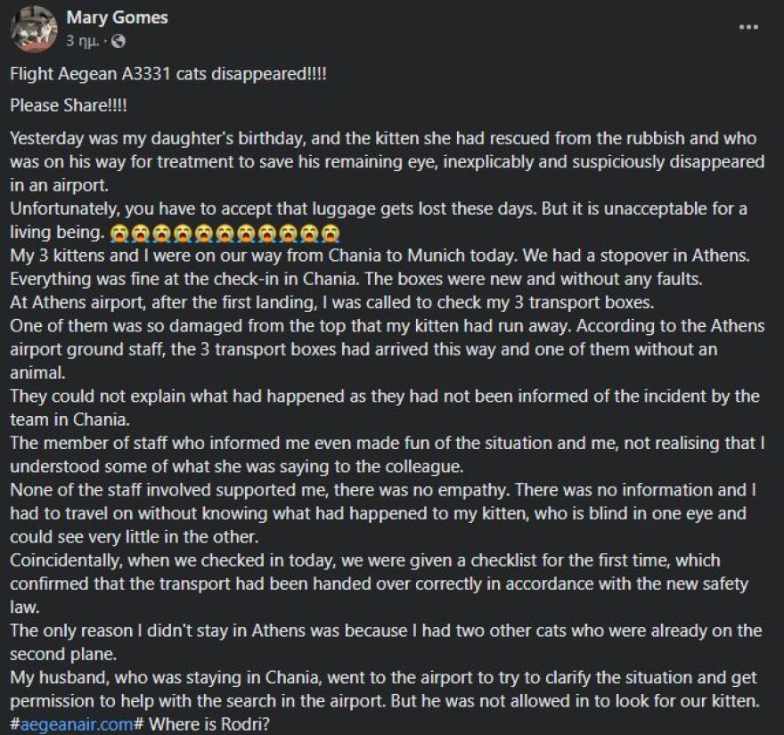 Χανιά: Γατάκι χάθηκε σε πτήση για Μόναχο - Η ανακοίνωση της Aegean για το περιστατικό