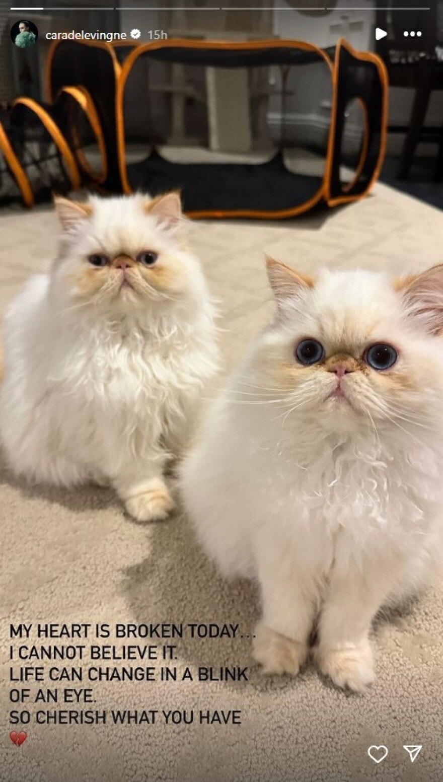 Κάρα Ντελεβίν: Το μήνυμα μετά την πυρκαγιά στο σπίτι της - Η ζωή μπορεί να αλλάξει μέσα σε μια στιγμή, είπε 